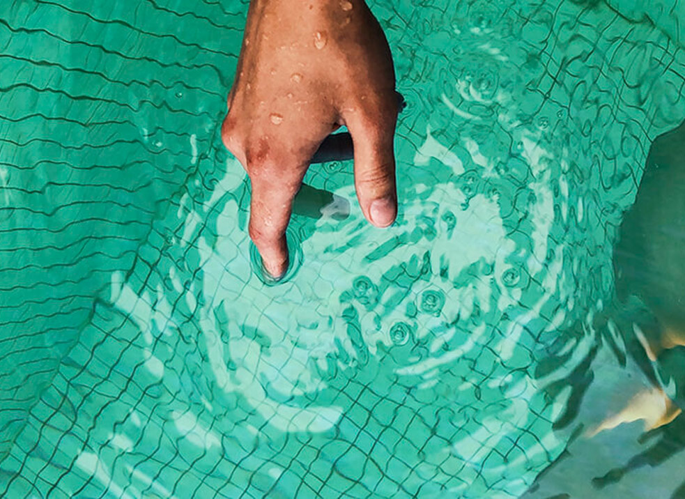 Algen grünes Wasser Salzchlorierung beseitigen