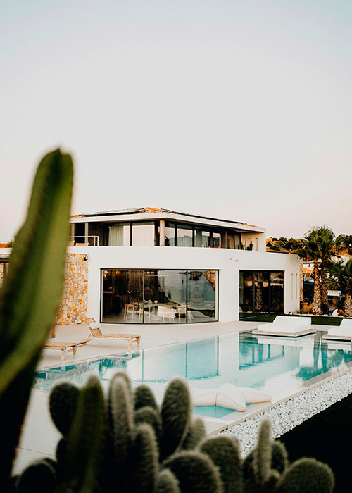 villa pool with plants and cacti